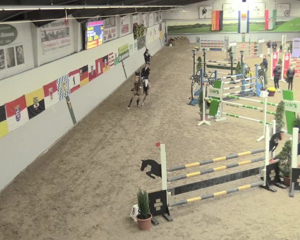 23. Legdener Ponymeeting 2021
