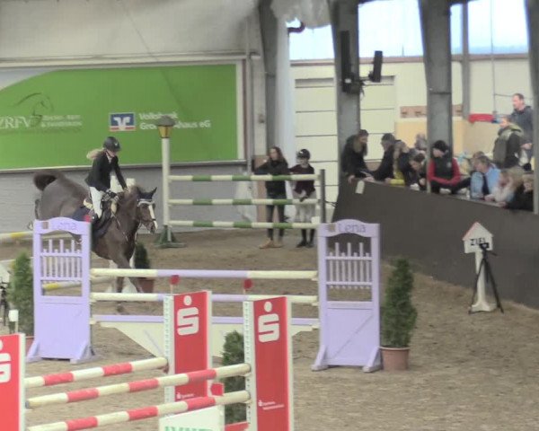 23. Legdener Ponymeeting 2021