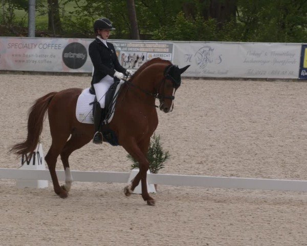 Reitturnier Karlsfeld/Obb. 2024