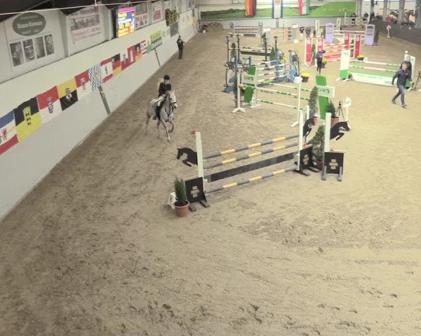 23. Legdener Ponymeeting 2021