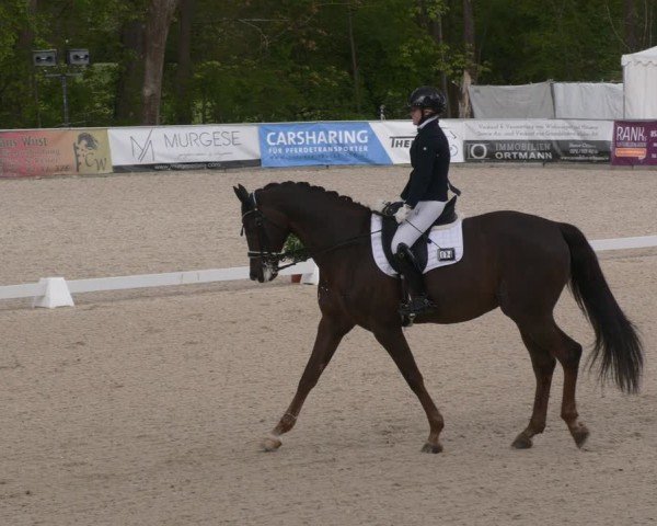 Reitturnier Karlsfeld/Obb. 2024