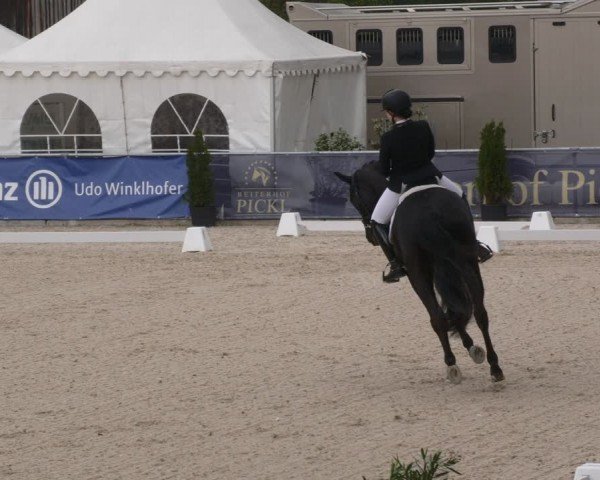 Reitturnier Karlsfeld/Obb. 2024