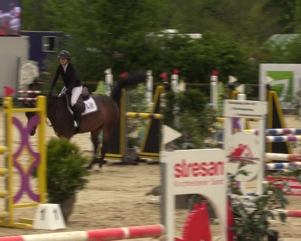 Reitturnier Nienberge 2024