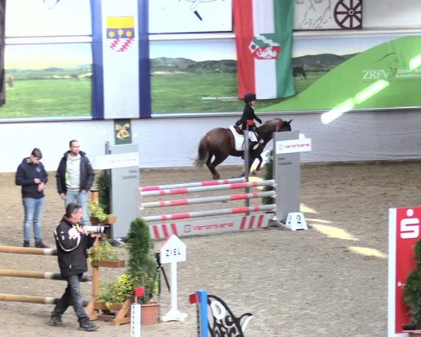 23. Legdener Ponymeeting 2021