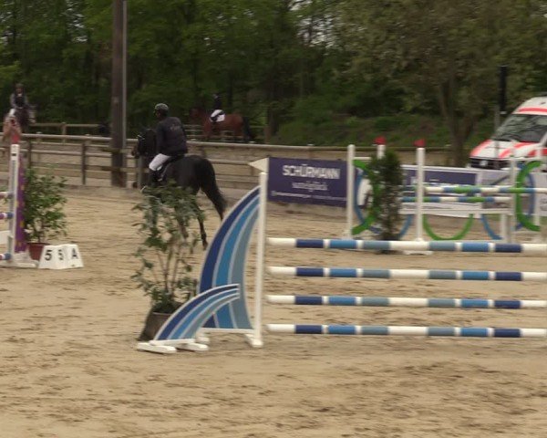 Reitturnier Nienberge 2024