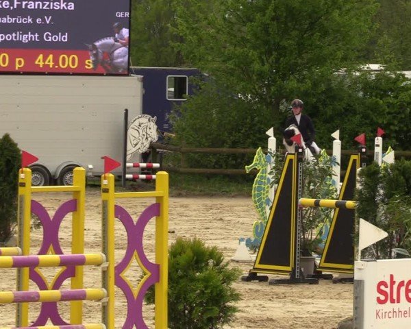 Reitturnier Nienberge 2024