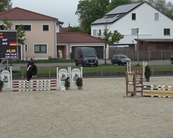 Reitturnier Ingolstadt-Hagau/Obb. 2024