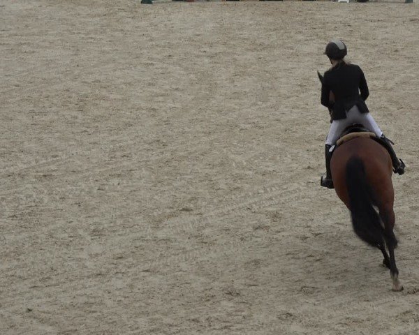 Reitturnier Ingolstadt-Hagau/Obb. 2024