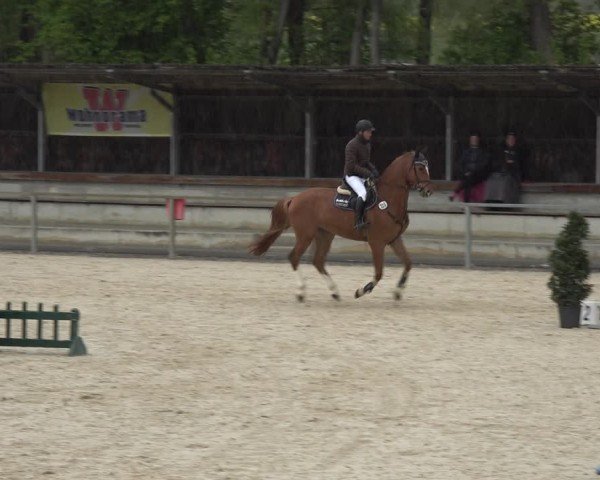 Reitturnier Ingolstadt-Hagau/Obb. 2024