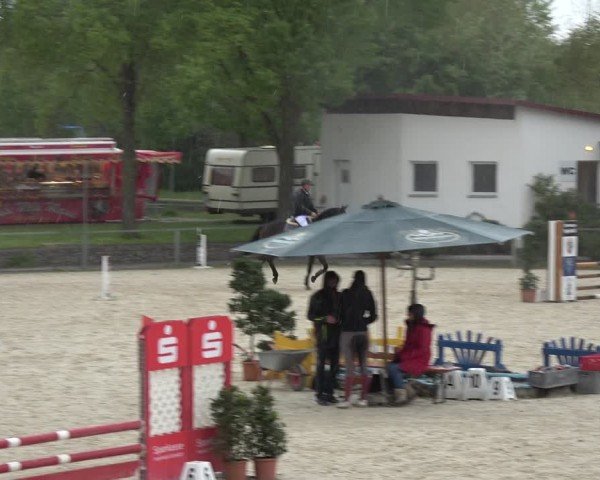 Reitturnier Ingolstadt-Hagau/Obb. 2024