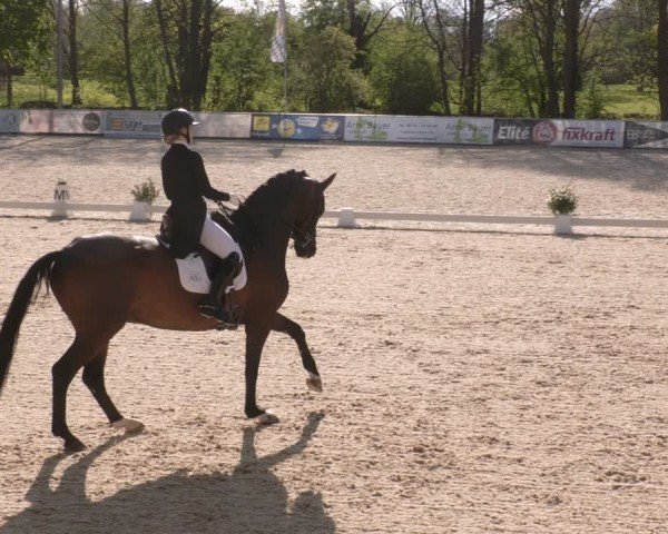 Reitturnier Karlsfeld/Obb. 2024