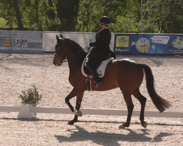 Reitturnier Karlsfeld/Obb. 2024