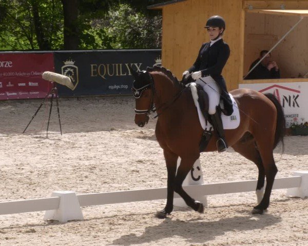 Reitturnier Karlsfeld/Obb. 2024