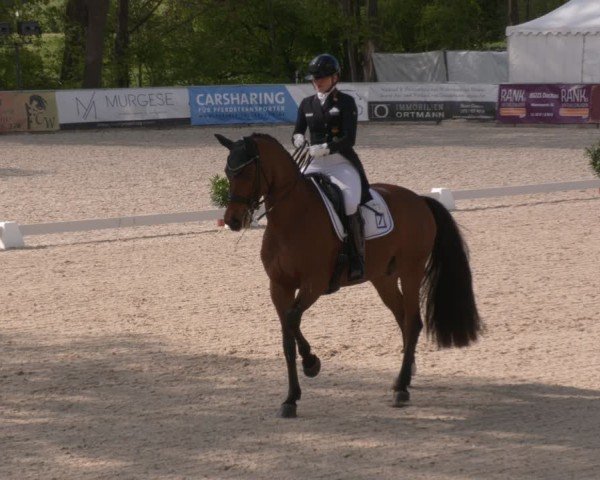 Reitturnier Karlsfeld/Obb. 2024