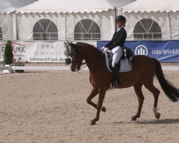 Reitturnier Karlsfeld/Obb. 2024