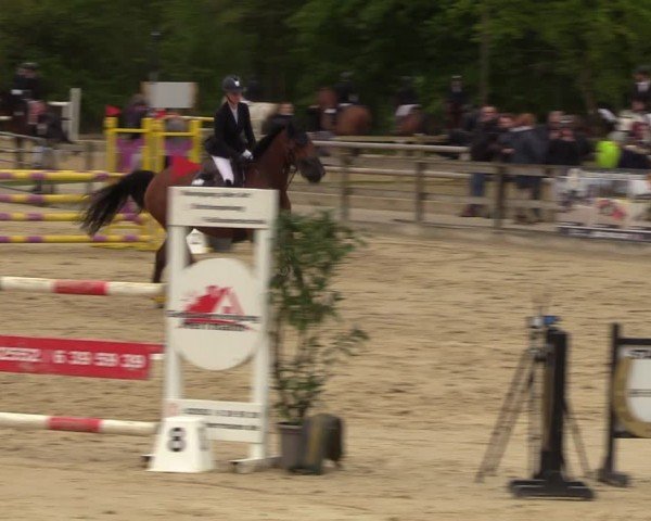Reitturnier Nienberge 2024