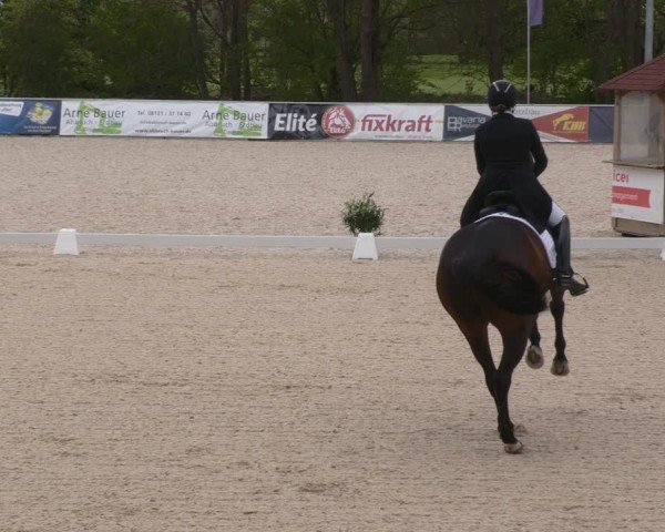 Reitturnier Karlsfeld/Obb. 2024