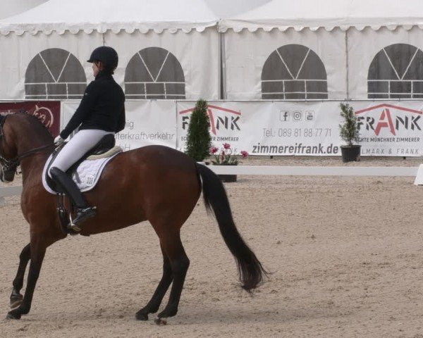 Reitturnier Karlsfeld/Obb. 2024