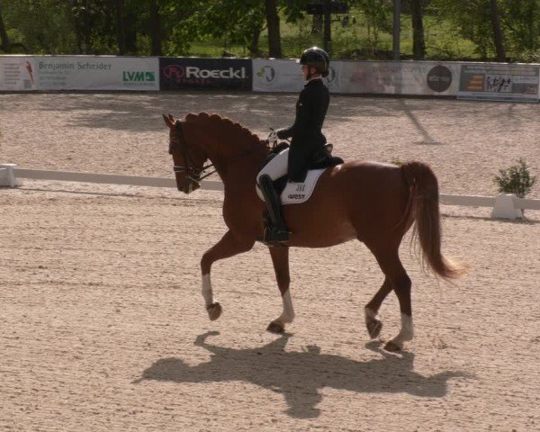 Reitturnier Karlsfeld/Obb. 2024
