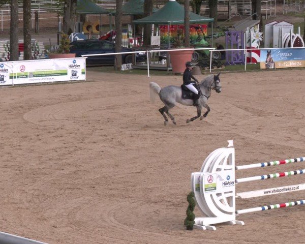 FEI Springturnier Stadl Paura 2024
