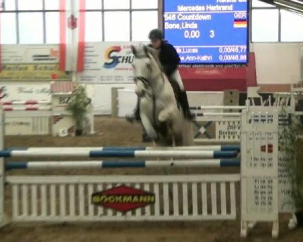 Hallenspringturnier Borken 2012