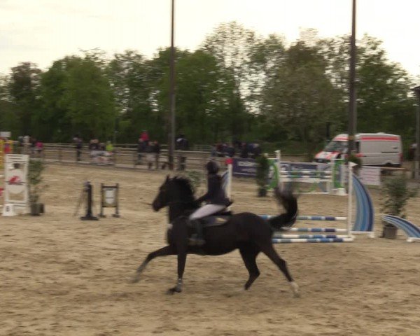 Reitturnier Nienberge 2024
