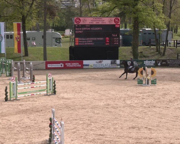 FEI Springturnier Stadl Paura 2024