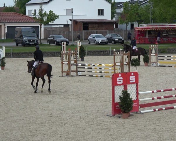 Reitturnier Ingolstadt-Hagau/Obb. 2024