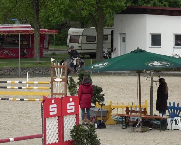 Reitturnier Ingolstadt-Hagau/Obb. 2024