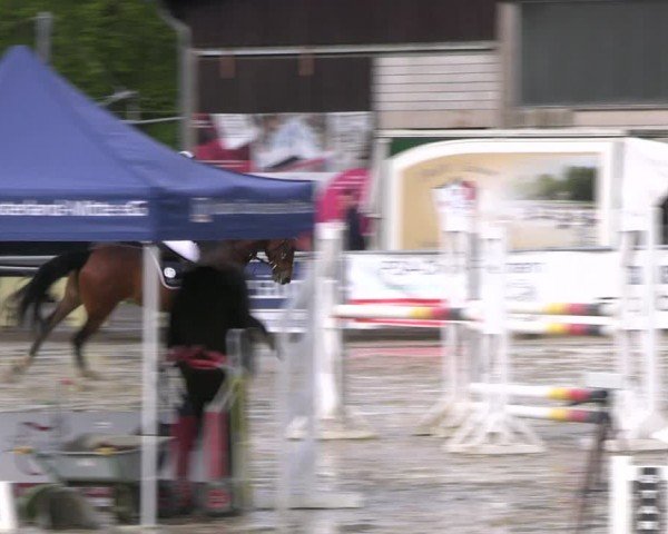 Reitturnier Olfen-Vinnum 2024