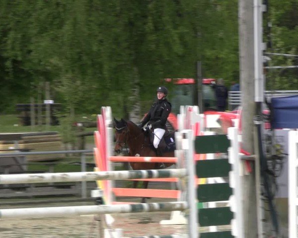 Reitturnier Olfen-Vinnum 2024