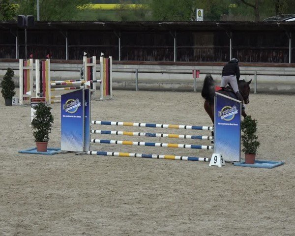 Reitturnier Ingolstadt-Hagau/Obb. 2024