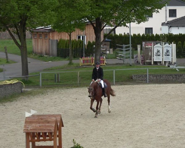 Reitturnier Ingolstadt-Hagau/Obb. 2024