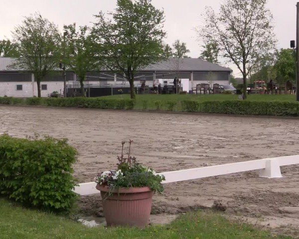Reitturnier Olfen-Vinnum 2024
