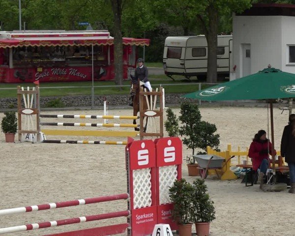 Reitturnier Ingolstadt-Hagau/Obb. 2024