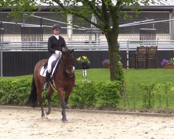 Reitturnier Olfen-Vinnum 2024
