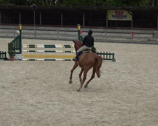 Reitturnier Ingolstadt-Hagau/Obb. 2024