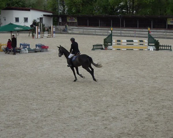 Reitturnier Ingolstadt-Hagau/Obb. 2024