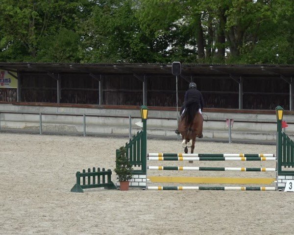 Reitturnier Ingolstadt-Hagau/Obb. 2024
