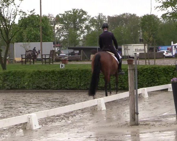 Reitturnier Olfen-Vinnum 2024