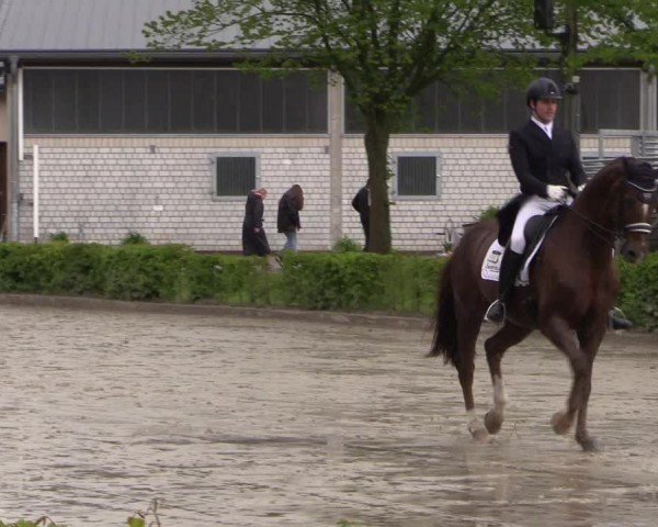 Reitturnier Olfen-Vinnum 2024