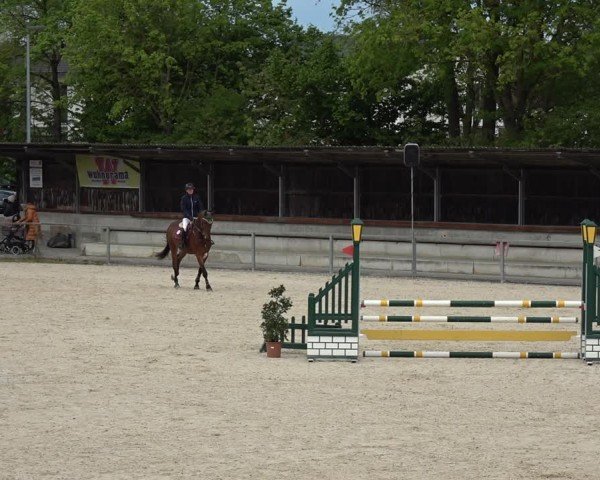 Reitturnier Ingolstadt-Hagau/Obb. 2024