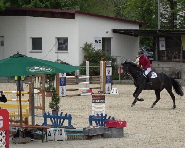 Reitturnier Ingolstadt-Hagau/Obb. 2024