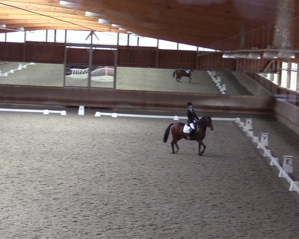 Dressurturnier mit Hallenchampionat Tremsdorf, Eichenhof 2021