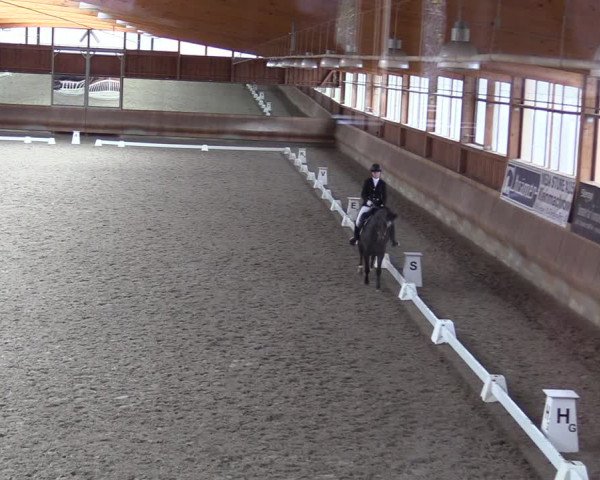 Dressurturnier mit Hallenchampionat Tremsdorf, Eichenhof 2021