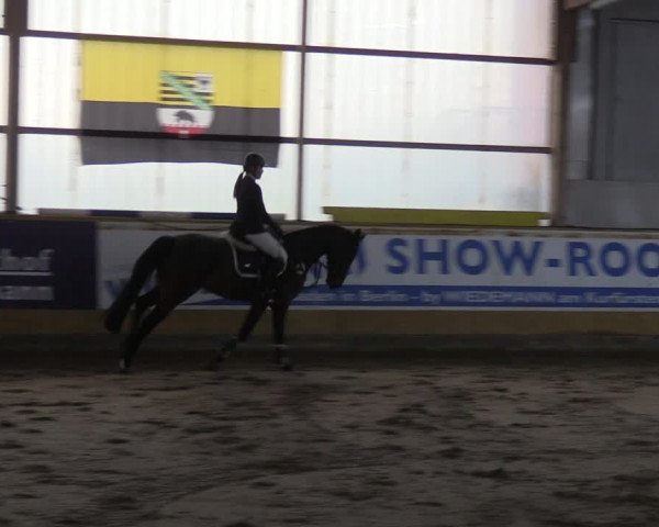 Reitturnier Pausin 2021