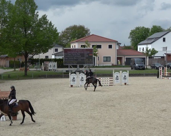 Reitturnier Ingolstadt-Hagau/Obb. 2024