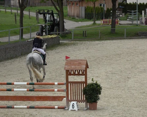Reitturnier Ingolstadt-Hagau/Obb. 2024