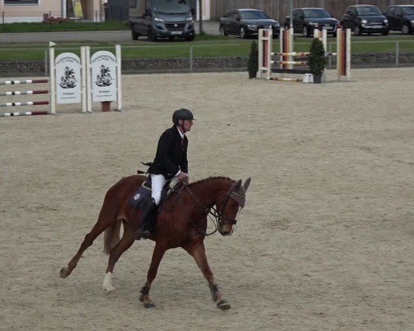 Reitturnier Ingolstadt-Hagau/Obb. 2024