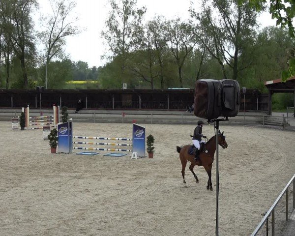 Reitturnier Ingolstadt-Hagau/Obb. 2024